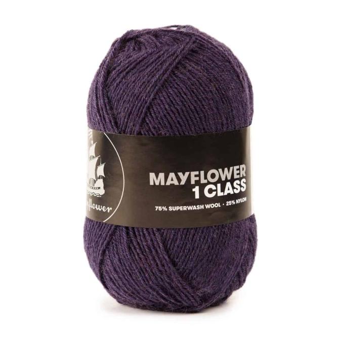 mayflower 1 class garn 06 asterslilla