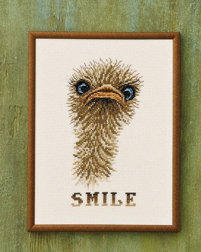 Billede af Broderi Kit - &quot;smile&quot; struds