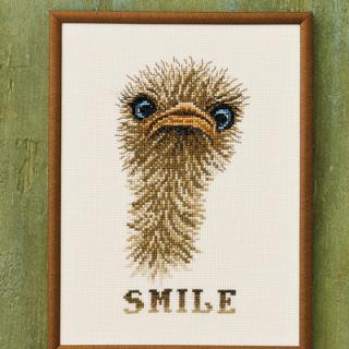 Broderede Statements