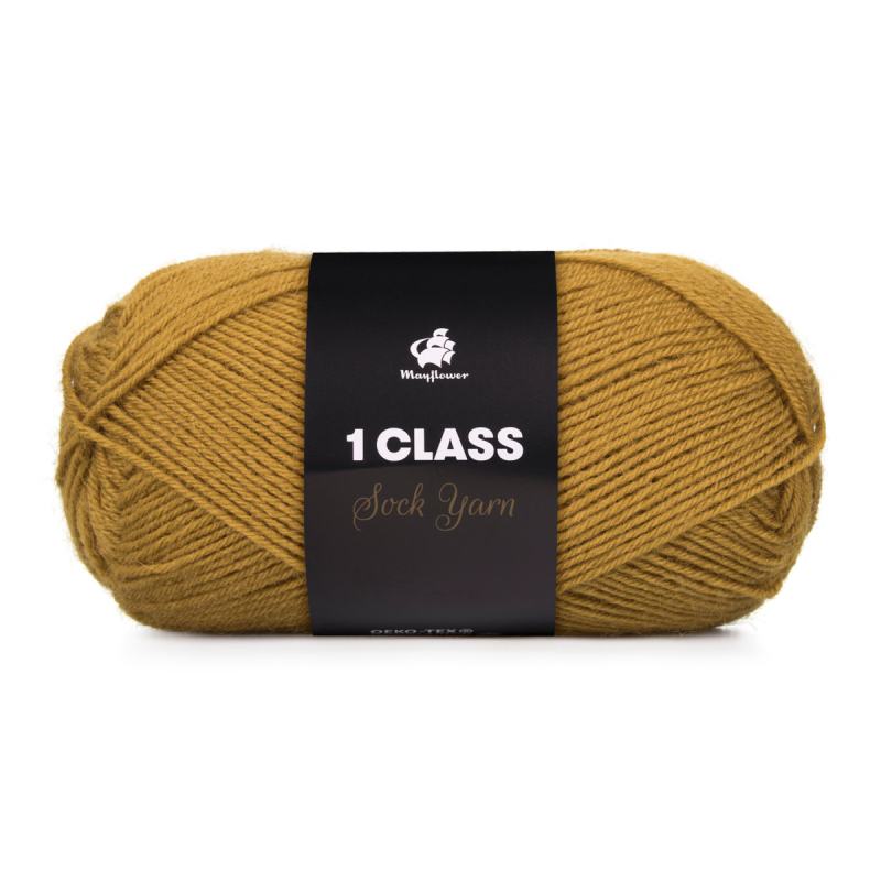 Mayflower 1 Class